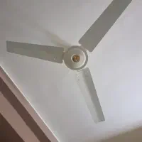 پنکه سقفی sunny