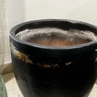 گلدان بزرگ بابا آدم سایز ۵۲