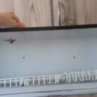 کابینت دیواری آبچکاندار|مصالح و تجهیزات ساختمان|قیدار, |دیوار