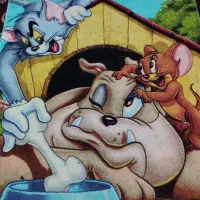 فرش اتاق کودک|گلیم، جاجیم، گبه|شاهرود, |دیوار