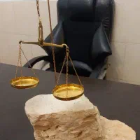 وکیل حرفه ای با رزومه قوی