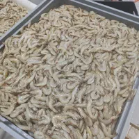 میگو ۳۰.۴۰ پرورشی