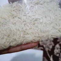 برنج فجرسوزنی ۹۰روزه|عمده‌فروشی|آزادشهر, |دیوار