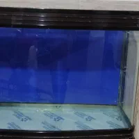 آکواریوم دوباره هم برای  آب شور و هم آب شیرین