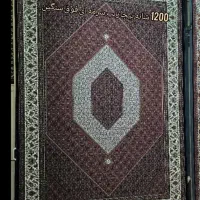 فرش ریزماهی افشار/بیجار از همه رنگ و طرح|فرش|زنجان, |دیوار