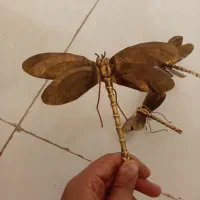 برنز سنجاقک|مجسمه، تندیس، ماکت|خرمآباد, |دیوار