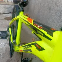 دوچرخه ۲۶ کوفیدیس|دوچرخه، اسکیت، اسکوتر|بانه, |دیوار