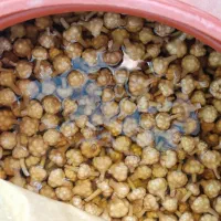 گلسیر|خوردنی و آشامیدنی|لنگرود, |دیوار