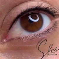 میکروبلید ابرو و هاشور فوق طبیعی و نچرال|خدمات آرایشگری و زیبایی|سرپل ذهاب, |دیوار