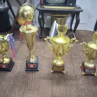 کاپ قهرمانی|تجهیزات ورزشی|نجفآباد, گلبهار|دیوار