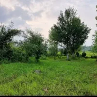 زمین مسکونی 700 متری شفت|فروش زمین و ملک کلنگی|رشت, لاکانی|دیوار