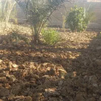 پاجوش برحی برا فروش