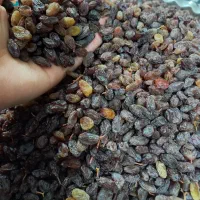 کشمش|خوردنی و آشامیدنی|اردکان, |دیوار