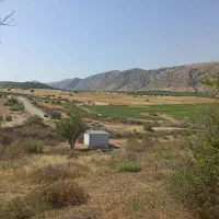 3000متر باغ لیمو