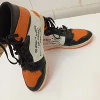 چهارصدو پنجاه|کیف، کفش، کمربند|مراغه, |دیوار