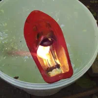 قایق موتوری