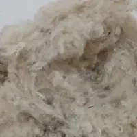 پشم