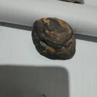 شهاب سنگ جذاب و کمنظیر