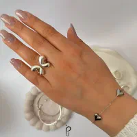 اکسسوری، بدلیجات