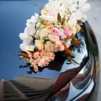 ** تالار تشریفات مجلل پیوند **|خدمات پذیرایی، مراسم|مشهد, فرهنگ|دیوار