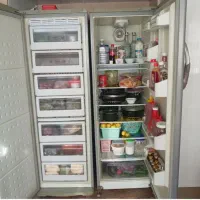 یخچال دوقلو سینجر|یخچال و فریزر|الوند, |دیوار