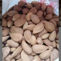 خرما صادراتی اصل بهبهان کیلو240|خوردنی و آشامیدنی|سبزوار, قاضی زاد|دیوار