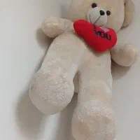 عروسک خرسی وشایخین