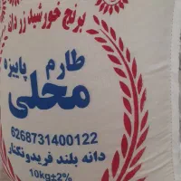 برنج طارم محلی فریدونکنار امسالی به شرط خالص|خوردنی و آشامیدنی|اصفهان, رزمندگان|دیوار