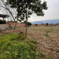 ۵۰۰۰ متر زمین چهار دیواری|فروش زمین و ملک کلنگی|نوکنده, |دیوار