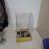 قفس طوطی