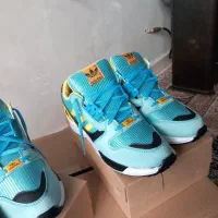 کتانی زدایکس|کیف، کفش، کمربند|شهریار, شهریار|دیوار