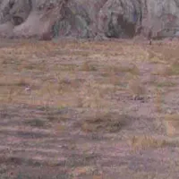 14000-متر-زمین-کشاورزی-ب-همراه-14-ساعت-اب