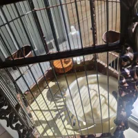 قفس سلطنتی|لوازم جانبی حیوانات|شیراز, میانرود|دیوار