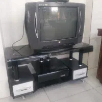 تلویزیون