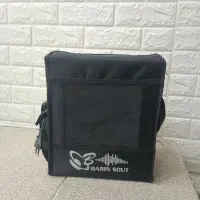 باند اکو برین صوت