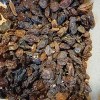 کشمش ابگیری