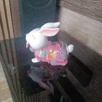 خرگوش اسباب بازی چراغدار