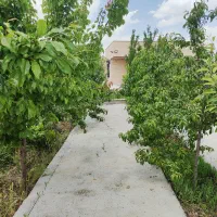 (ویلا باغ ۲۰ ساله متری ۸ ) فرصت خرید برای چند روز