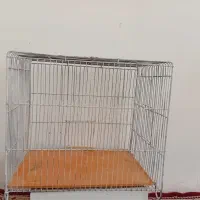 قفس