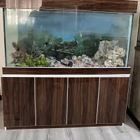 آکواریوم همراه میز و لوازم