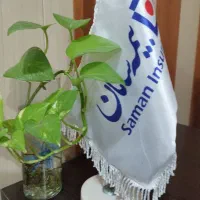 جذب نیرو بیمه سامان