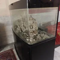 آکواریوم وارداتی|ماهی|تهران, فدک|دیوار