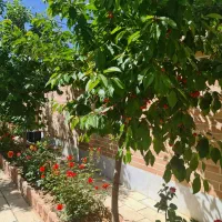 ویلایی-کم-نظیر-در-چادگان-واقع-درمنطقه-خوش-آب-و-هوا