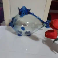 تنگ ماهی سبد