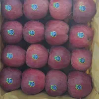 خرید سیب و اجاره باغات سیب|خدمات باغبانی و درختکاری|اهر, |دیوار