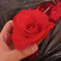 سرگل رز و داودی و میخک