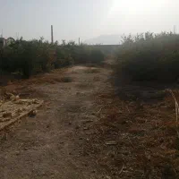 فروش زمین باغشهری مسکونی دهقاعد|فروش زمین و ملک کلنگی|برازجان, |دیوار