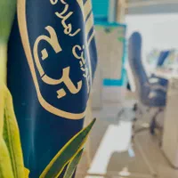 زمین 240 متری بر فضای سبز بر خ گلستان-کدارتفاع 6p