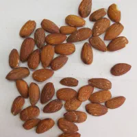 مغز بادام|خوردنی و آشامیدنی|شیراز, شهرک کوثر|دیوار