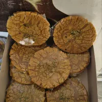 پشمک،باسلوق، سوهان،گز فله بستنی زمستونی عمدهای|خوردنی و آشامیدنی|اسلامشهر, شهرک سعیدیه|دیوار